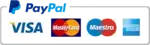 essay writer write my essay for me paypal | Write My Essay